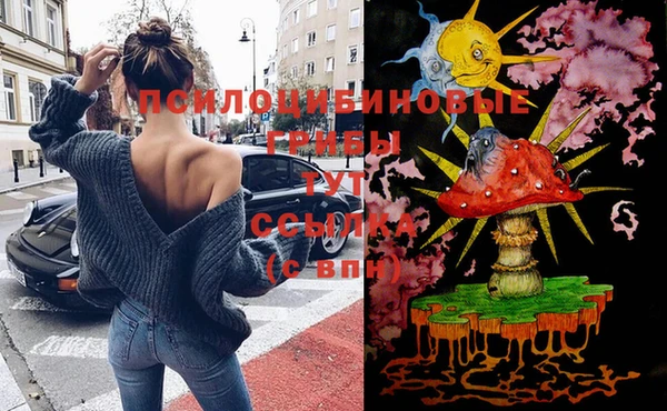 мяу мяу мука Алексеевка