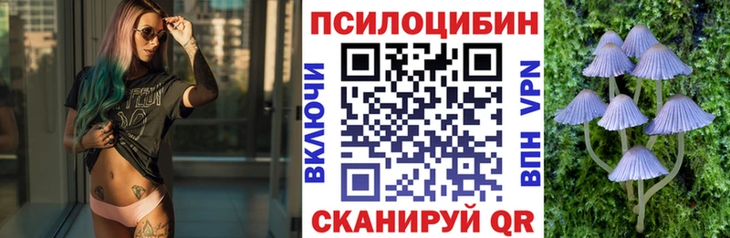 Псилоцибиновые грибы мухоморы Чернушка