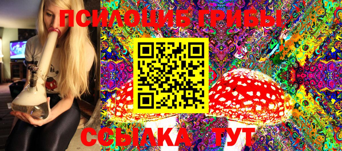 Псилоцибиновые грибы GOLDEN TEACHER Чернушка