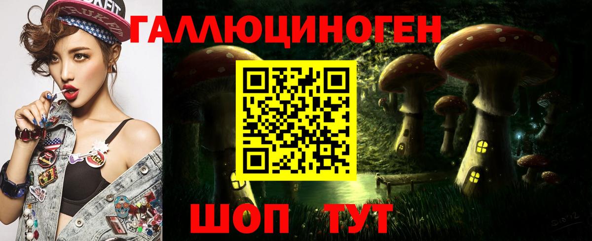 Чернушка  Галлюциногенные грибы мицелий  Галлюциногенные грибы Cubensis  Вход с VPN 